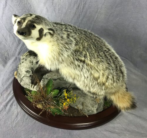 Badger Tabletop Mount Custom Base South Dakota